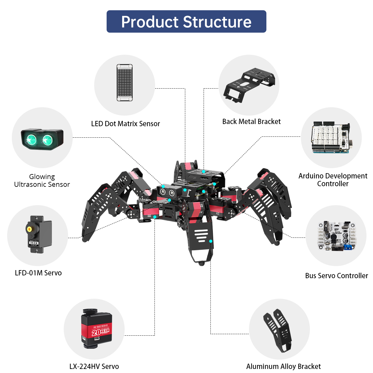 Hiwonder Spiderbot Robot Bioni - Robot Kit ulasan dan harga