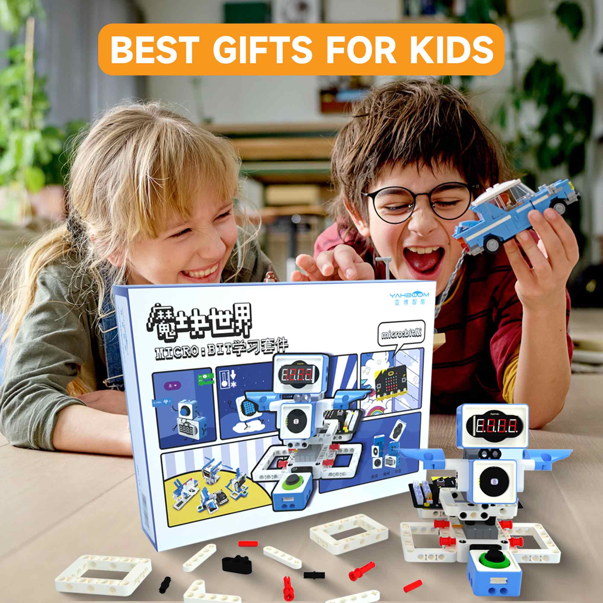 21 in 1 Microbit Robotics Kit  - Microbit Robot ulasan dan harga