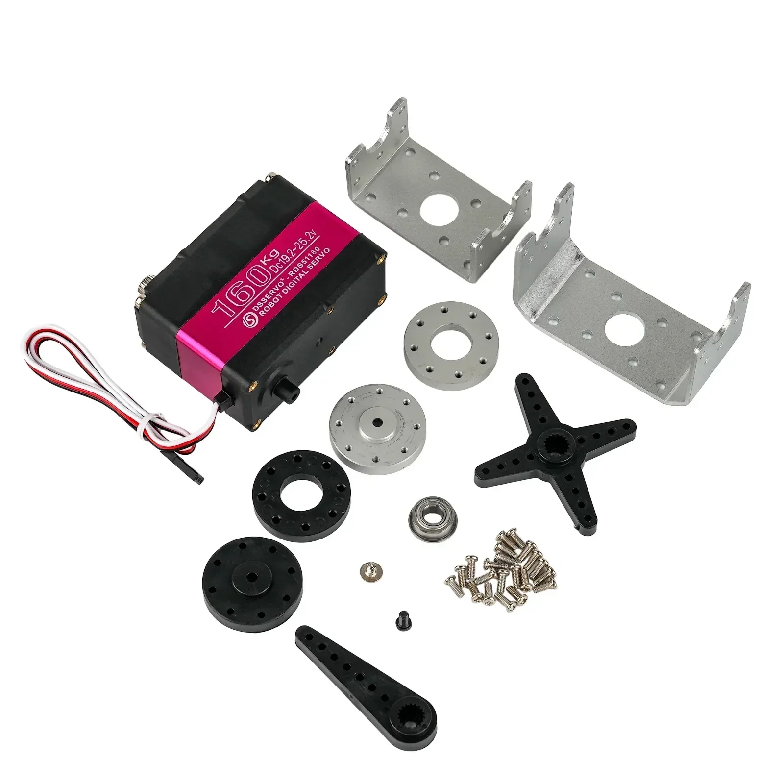 RDS51160 Servo Digital 24V 160 - Servo Bracket ulasan dan harga