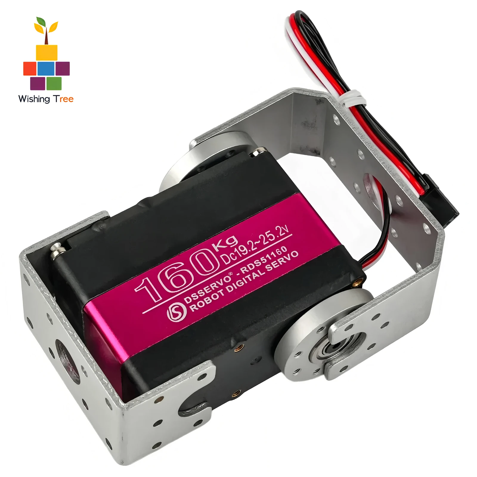 RDS51160 Servo Digital 24V 160 - Servo Bracket ulasan dan harga
